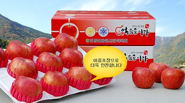 얼음골사과 이미지