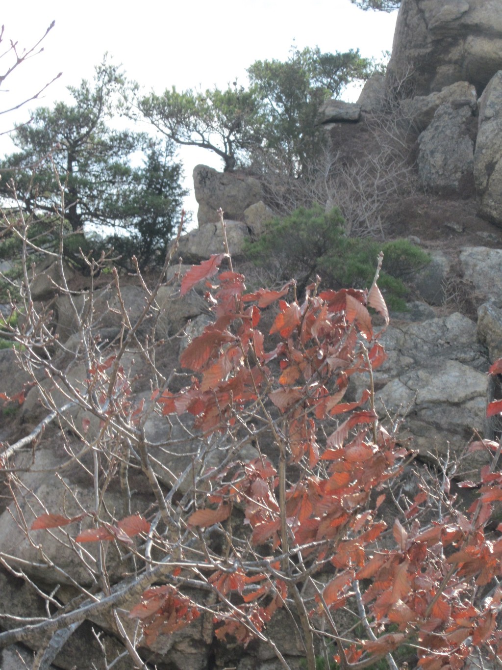 창영전기 이미지