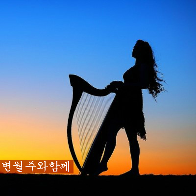 황금성 이미지