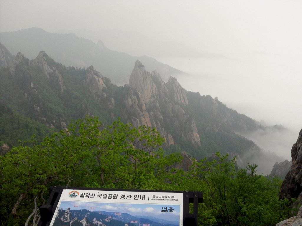 강박사 이미지