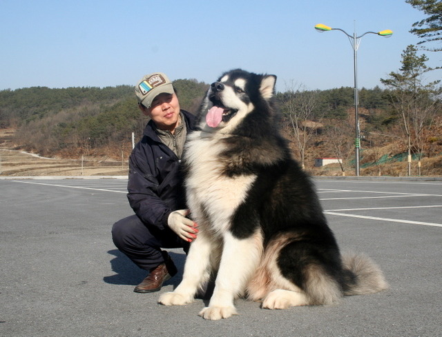 태산 이미지