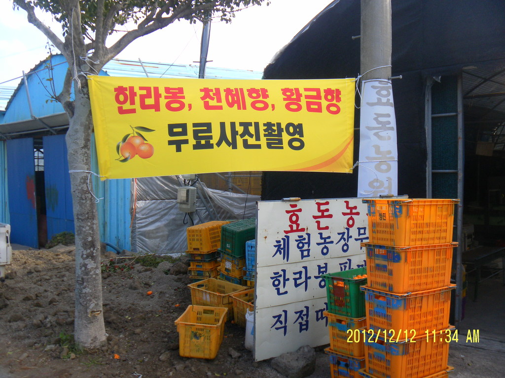 동기네농원 이미지