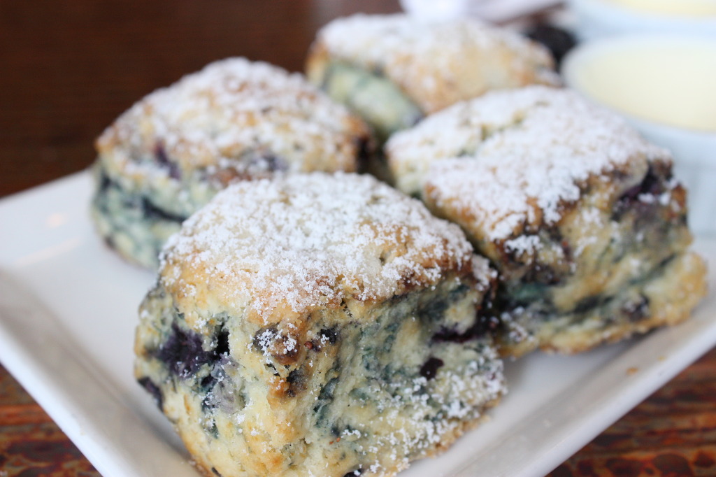 스콘 좋아하니? | 인스티즈