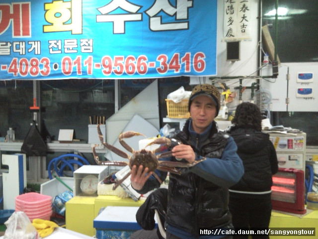 현태 이미지