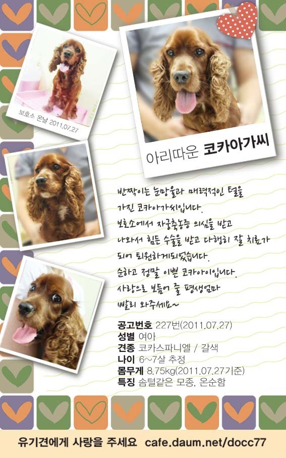 코카 이미지