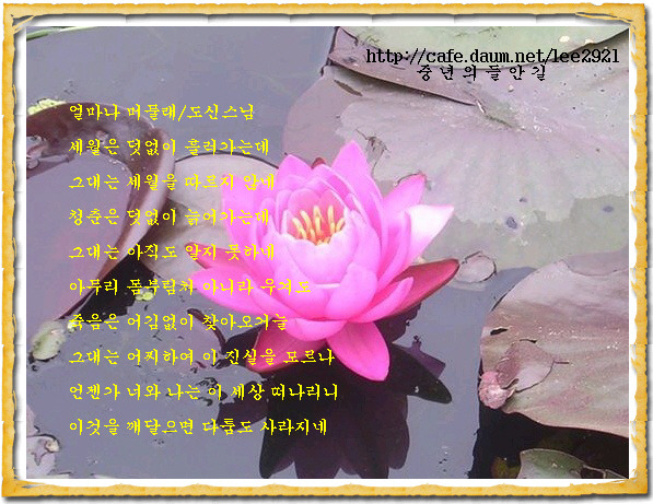 머물래 이미지