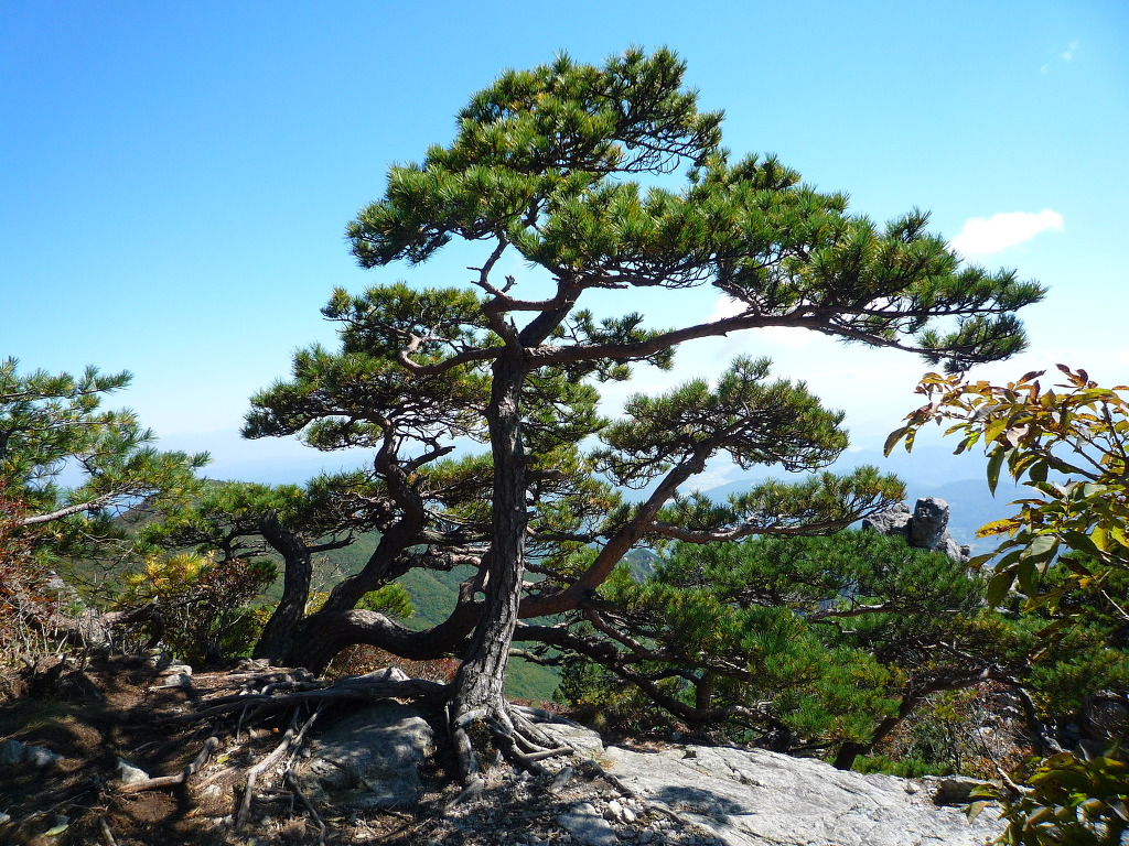 정상부 경관 이미지