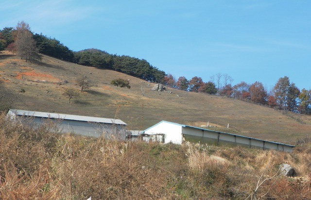 녹색흑염소(주) 이미지