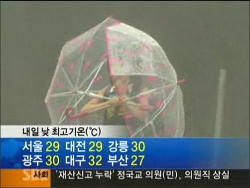 프로테고 이미지