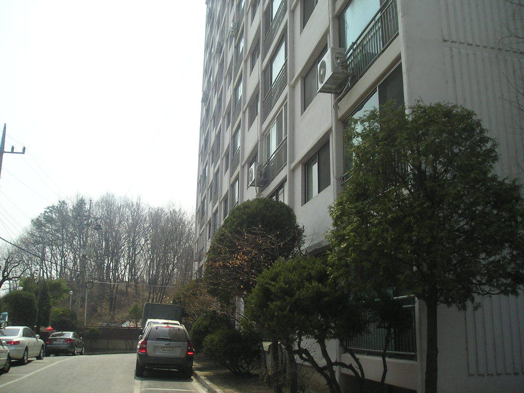 금용 이미지