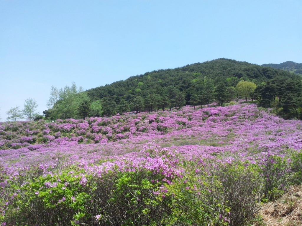 간바 이미지