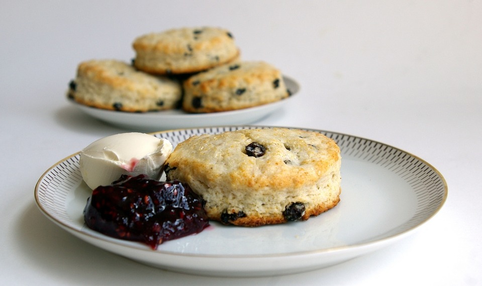 스콘 좋아하니? | 인스티즈