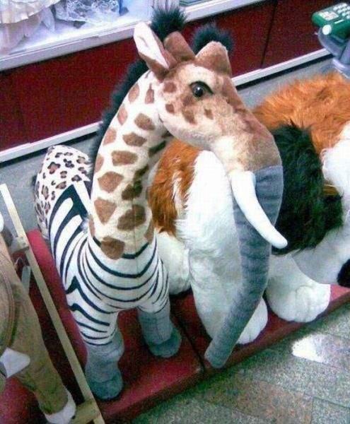 넌 이미지