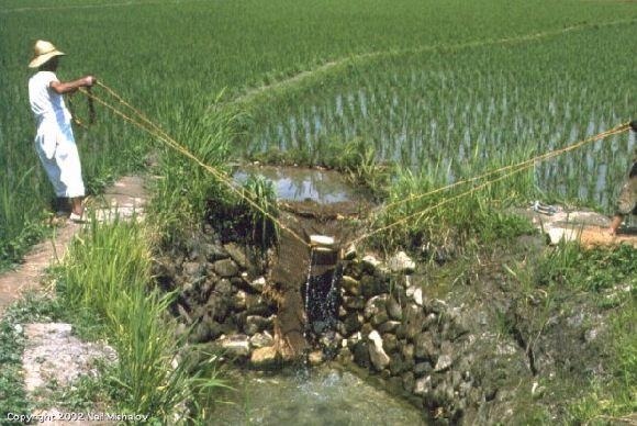 1960년대 한국 칼라사진 | 인스티즈