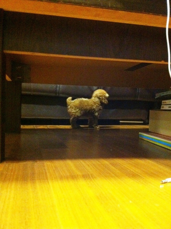 SS501 김형준에 이은 2AM 임슬옹ver 개사기 | 인스티즈