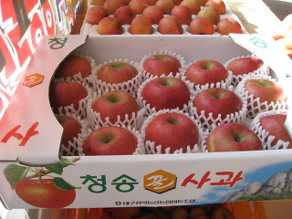 도원환경 이미지