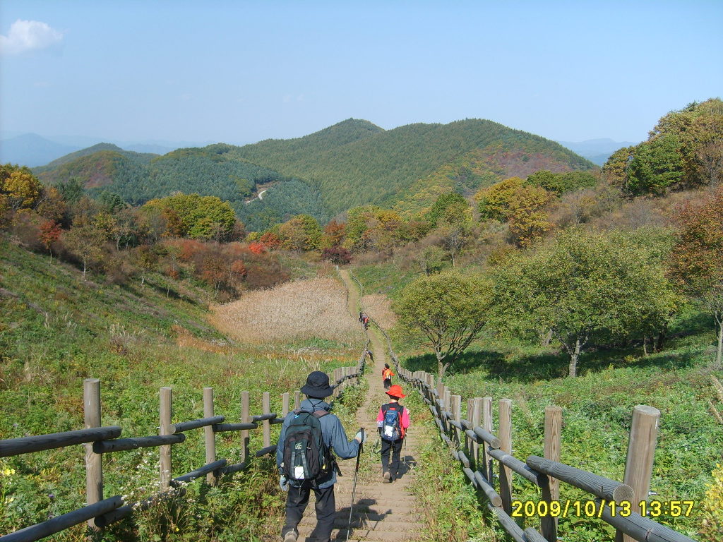 정선 이미지