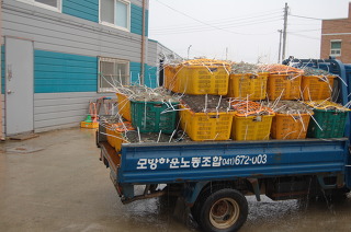 성민유통 이미지