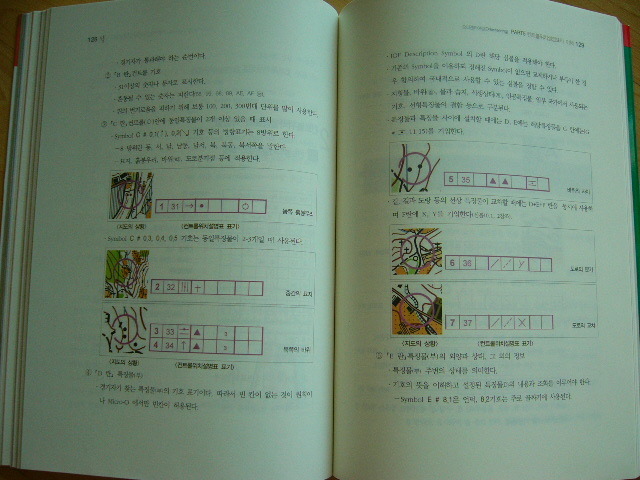 칼라시대 이미지