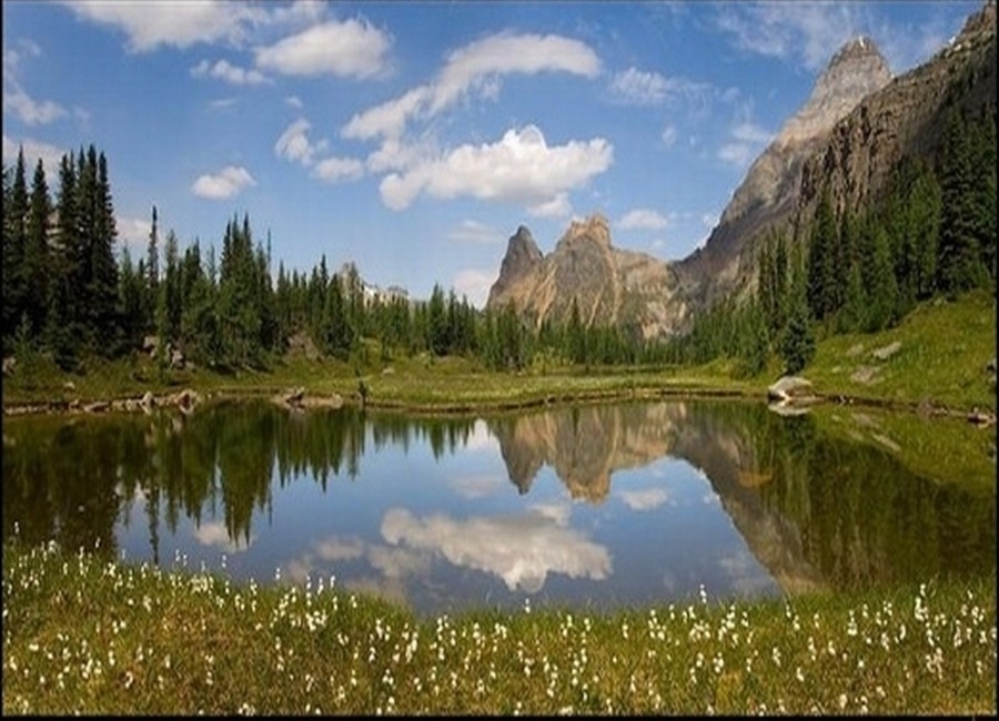 13393F3A4EFC3AD91E5F99