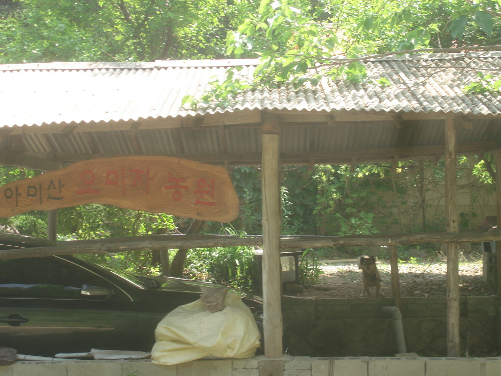 삼형제봉 정상 이미지
