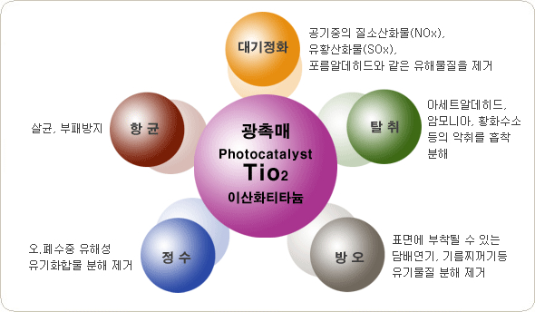 크린존 이미지