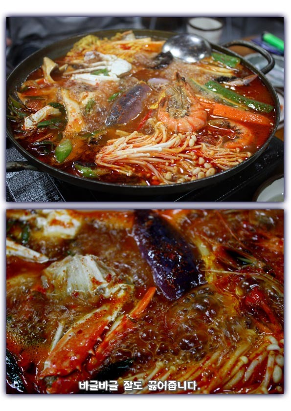오징어와친구들 이미지