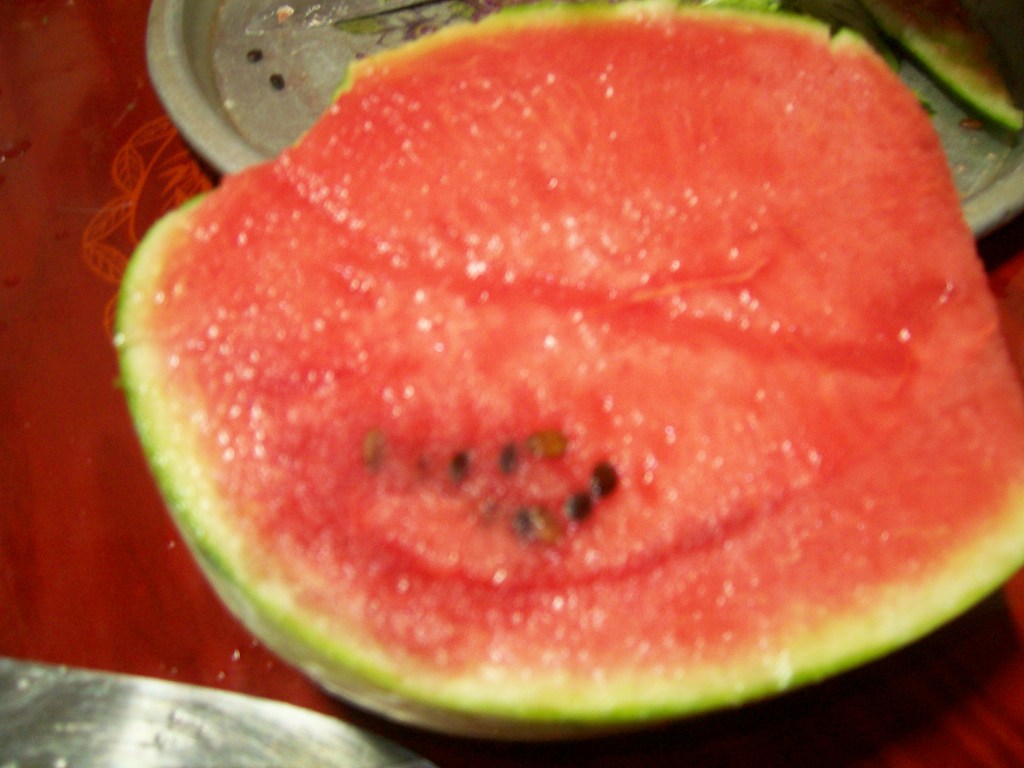 Daum카페