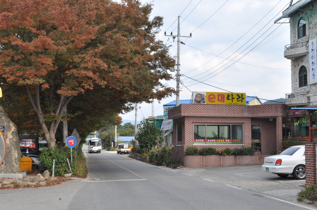 캠바이오 이미지