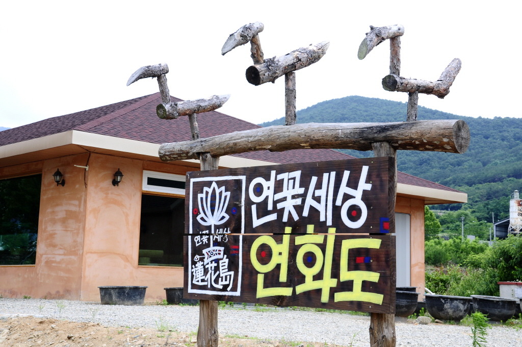 연꽃세상 이미지