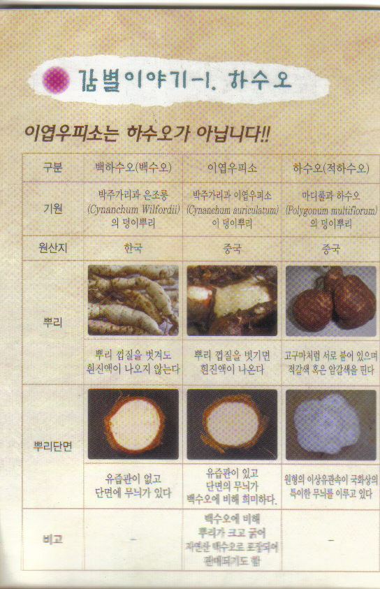 하수오홍삼 이미지