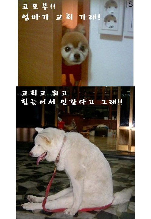 깔깔깔 이미지