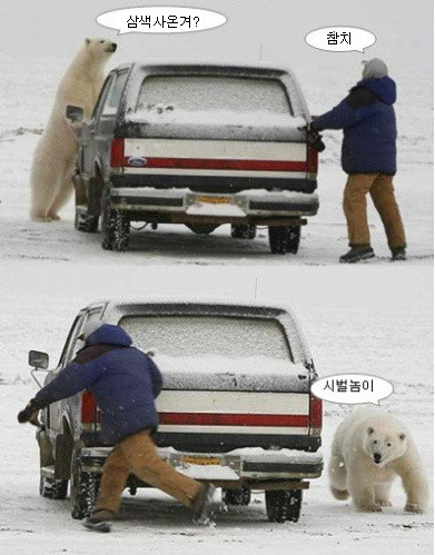 어디야 이미지
