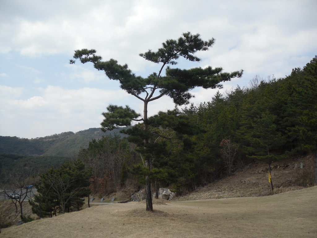 고운햇살 이미지