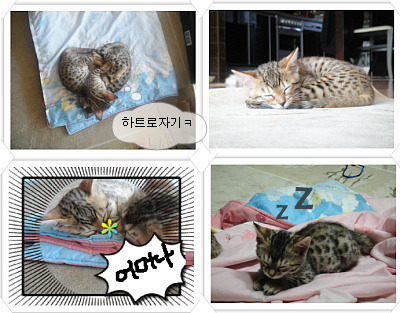 대박로또 이미지