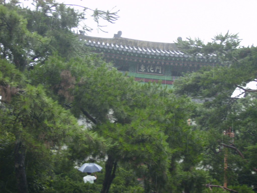 혜화1937 이미지