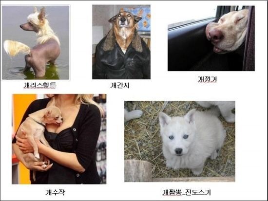 즈 이미지