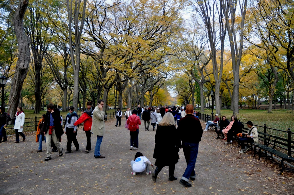 도심 속 오아시스.jpg | 인스티즈