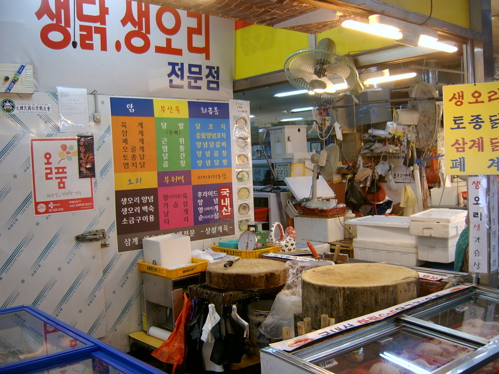 상설계육 이미지