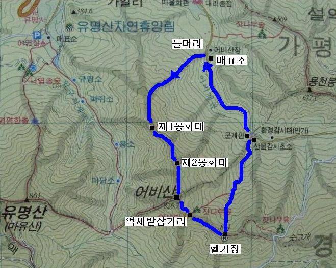 대일민박 이미지