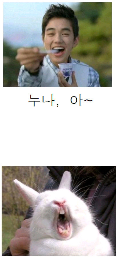 마이따 이미지