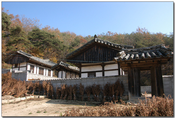 경광 이미지