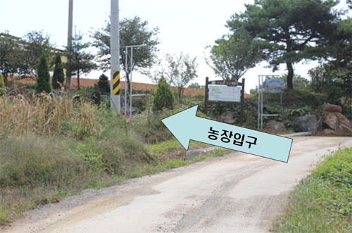 크로바목장체험 이미지