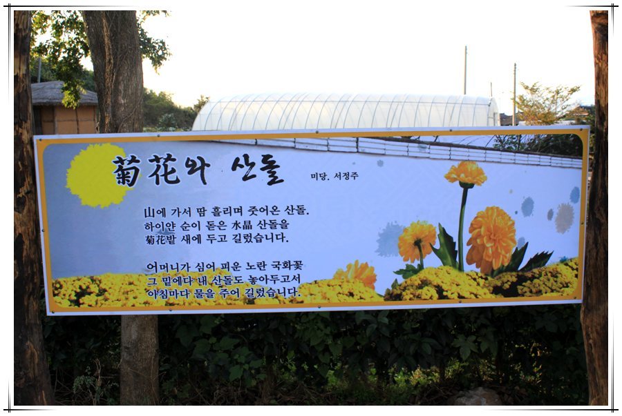 꽃미당 이미지