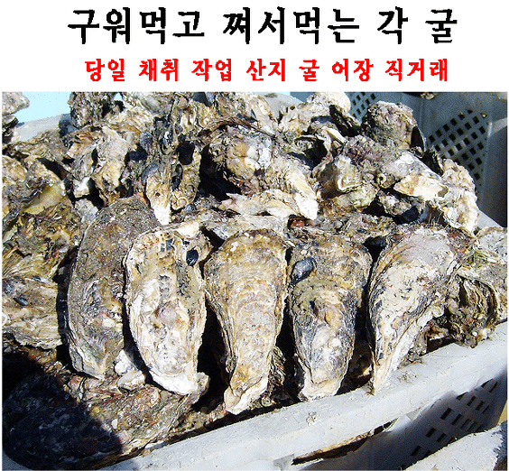 (주)석하 이미지