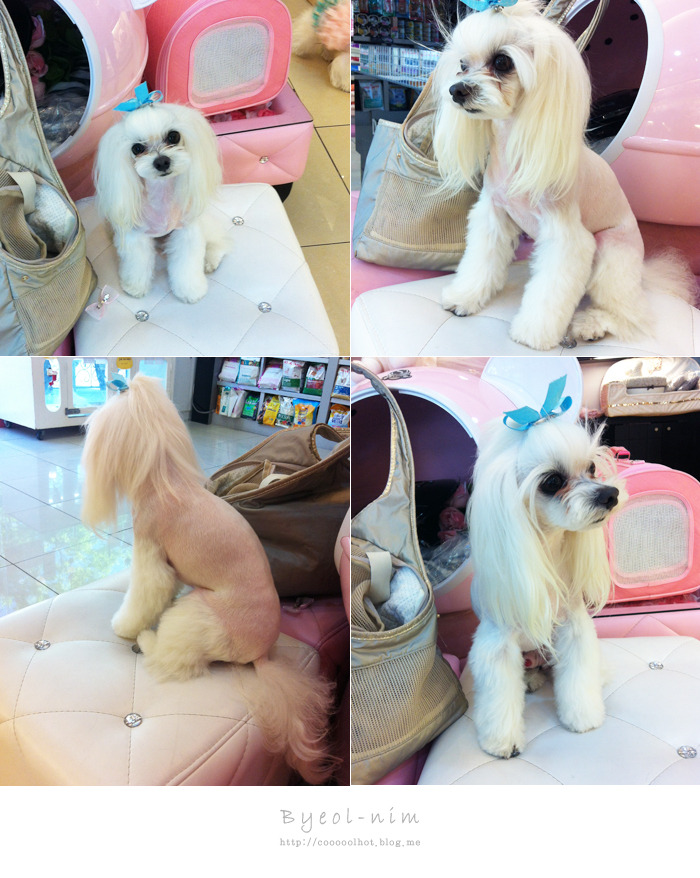 달샘 이미지