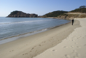 하트 이미지