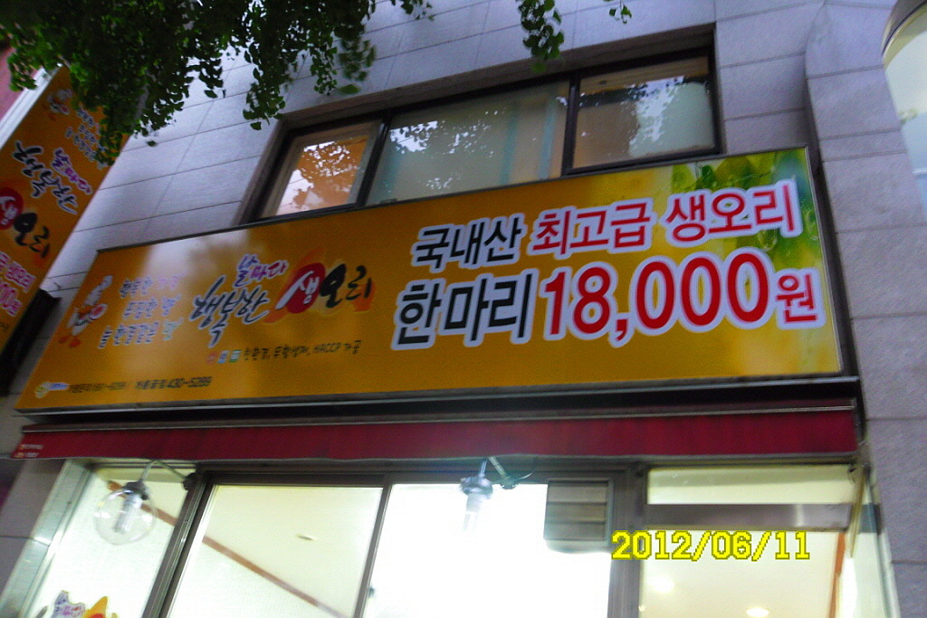 오리팔구 이미지