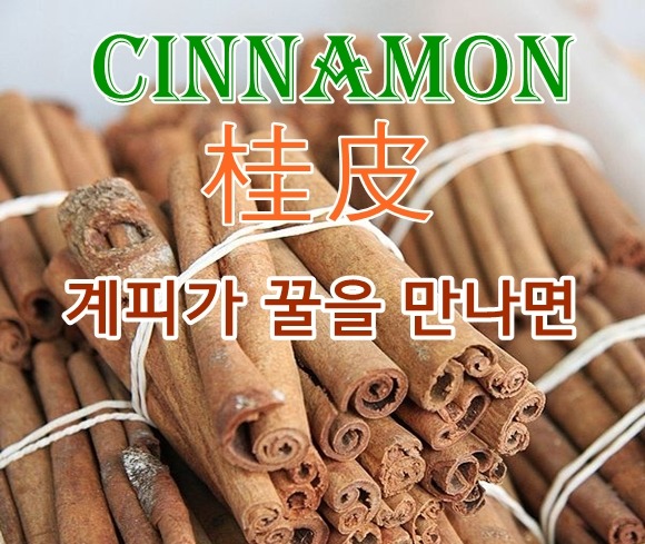 꿀C 이미지