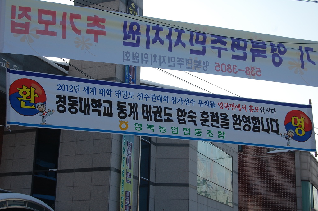 영북농업협동조합 이미지